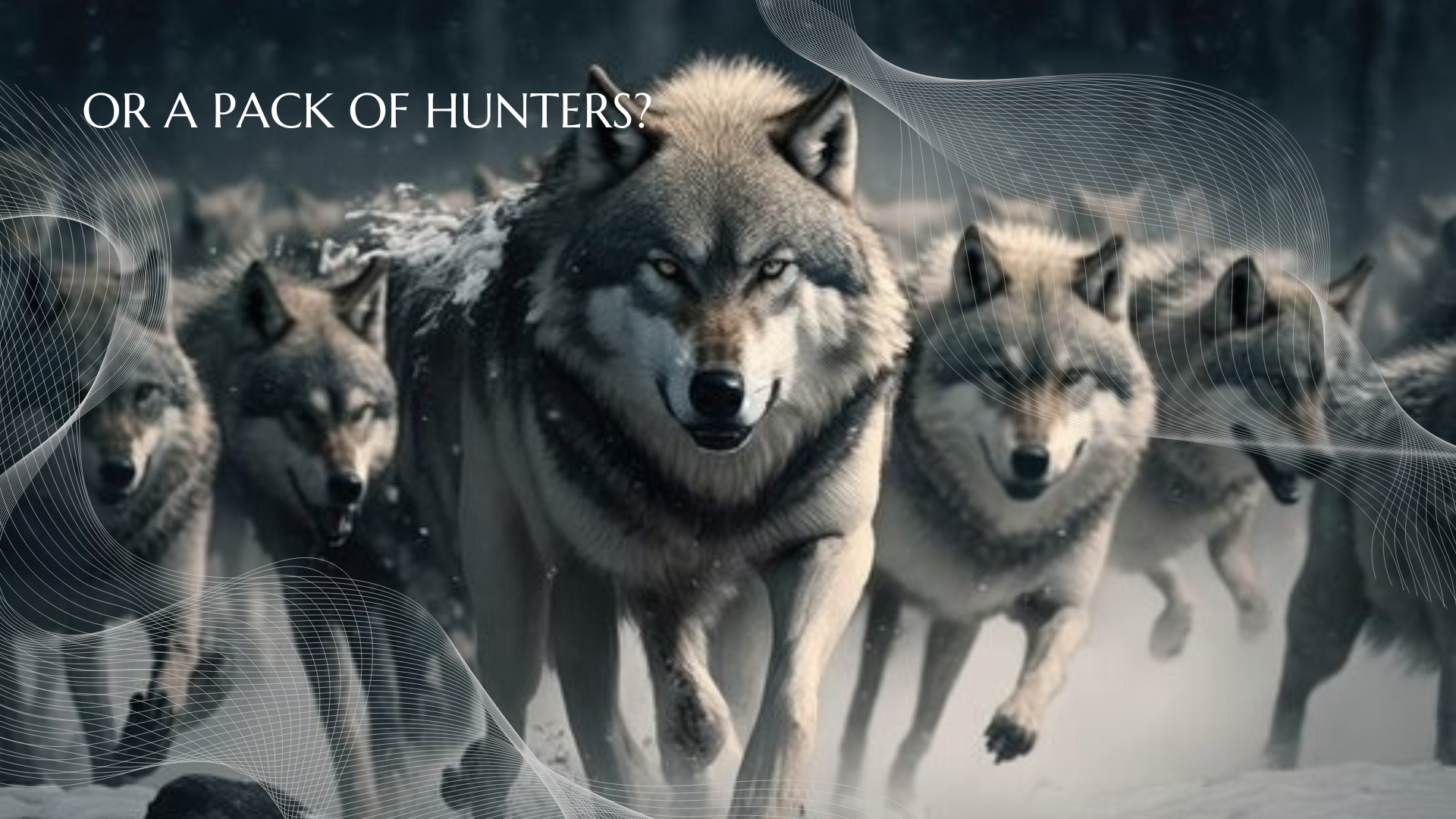 The strength of the wolf is the pack! 